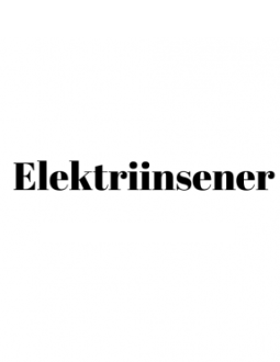 Elektriinsener